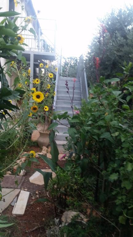 Amazing Galilee View Daire Safed Dış mekan fotoğraf